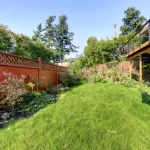 Backyard Potential